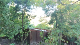 Sexcation Part 6 - Ebony Milf gets her ass eaten and pussy fingered in a hot tub