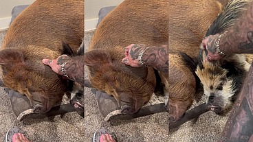 Update #37 (June 29, 2022) My two little monsters :)