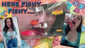 Here Fishy Fishy!! - MKV