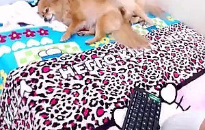 Sexy pinksophiajerking cut cock
