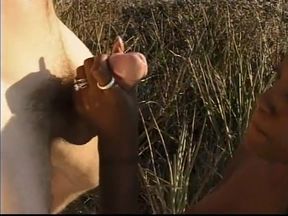Well graced black babe with perfect body gets her shaved cunt fucked on the knap