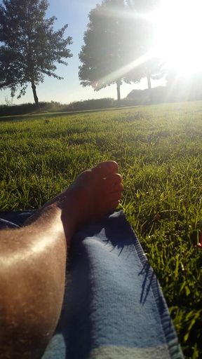on the naturist terrain