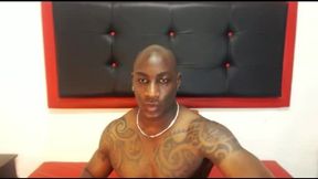 Tyson Mavs Private Show