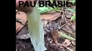 PedroPeloso e o C&uacute_ Largo do &Iacute_ndio na Floresta Amaz&ocirc_nica