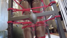 Mz32 - Bound Within a Metal Device, Reaching a Vibrating Climax.
