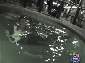 JSG Chronicles Vol. 5