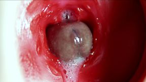 Big orgasm inside the anus! Fantastic moaning orgasm and a lot of sperm!