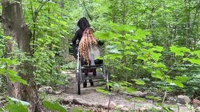 ponyplay cart pulling 3