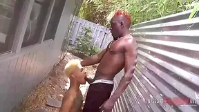Knight & Slicc