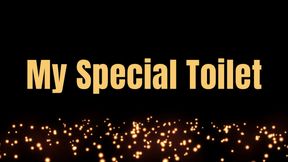 My Special Toilet