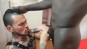 Pablo Bravo Assdestroyer