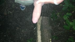 Night Outdoor Jerking, Showing Balls and Cumshot on Tree Trunk