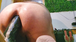 Des mecs gays potelés se font bourrer le cul avec des plugs anaux