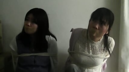 Chinese Damsel