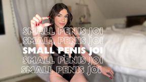 small penis JOI