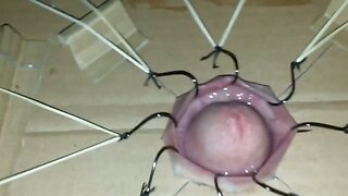 cbt extreme fishhooks torture part 1