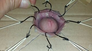 cbt extreme fishhooks torture part 1