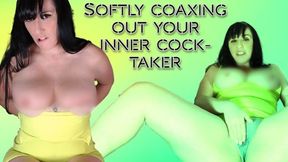 Softly Coaxing Out the Inner Cock Taker wmv