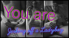 pov: you are jerking off a ladyboy
