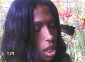 Brasil trans passion 10