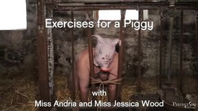 Exercises for a Piggy