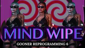 Gooner Reprogramming 6: End of Year Mind Wipe