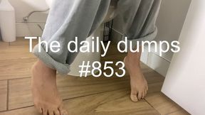The daily dumps #853 mp4