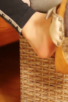 Sheer Nylon Feet in Classic Wooden Mules