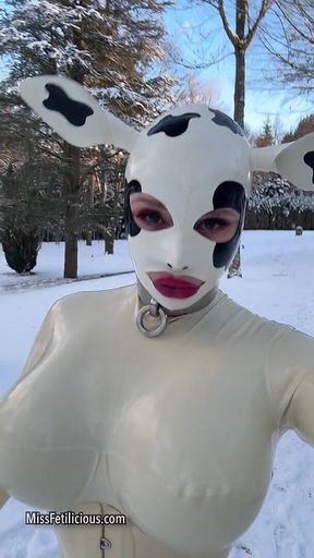 Snow Cow