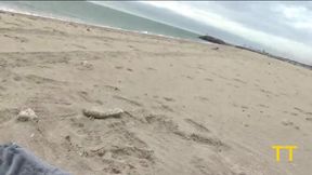 Brandi Bae Gives Stranger Random Handjob on Public Beach
