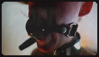 My Bondage Pet Compilation #24 - BDSM Adventure