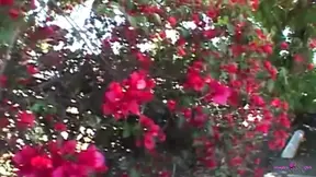 Redhead babe overwhelmed by a big black cock