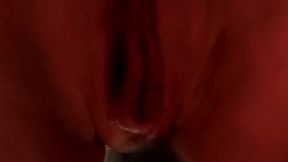 julia north squirts with a huge dildo in her ass