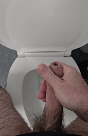 Bathroom cumshot after intense work session