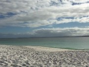 Morning wood looking for someone to come sit on my hard cock - Manlyfoot roadtrip - HYAMS beach