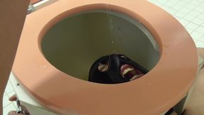 slave maskjoe get golden shower in smothering box