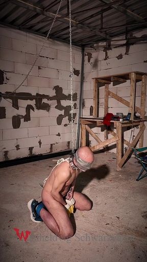Zeus Tapegagged and Spikes Collar