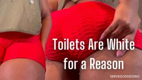 Toilets are white for a reason - Royal Ro BNWO toilet slave training hd mp4 1080p