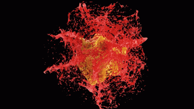 Obedient Beta Training- Your New Reality- SPH