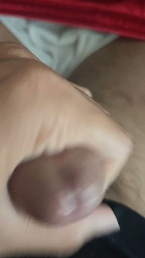 Jerking Off While Watching Porn on My Computer 2