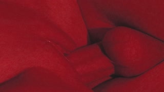 Super close up. Red light. Beautiful couple.