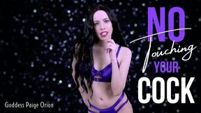 No Touching Your Cock Tease