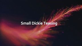 Small Dickie Teasing *mp4*