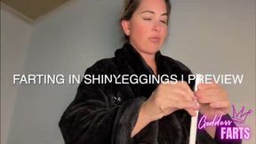 FARTING IN SHINY LEGGINGS