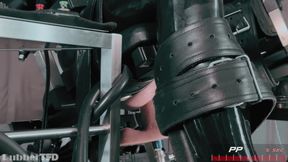 Total Simulation
