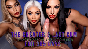 The Cheater’s Last Cum for 365 Days