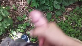 Outdoor Piss&wank&cum