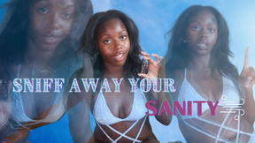 Sniff Away Your Sanity