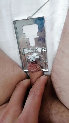 Small penis and mouse trap. Cbt BDSM solo