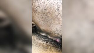 SHE WANTED ME TO SUCK ON THAT CLITORIS AGAIN